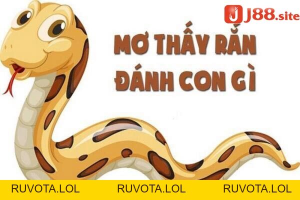 Nằm mơ thấy bắt rắn nên đánh lô gì? - RUVOTA.LOL