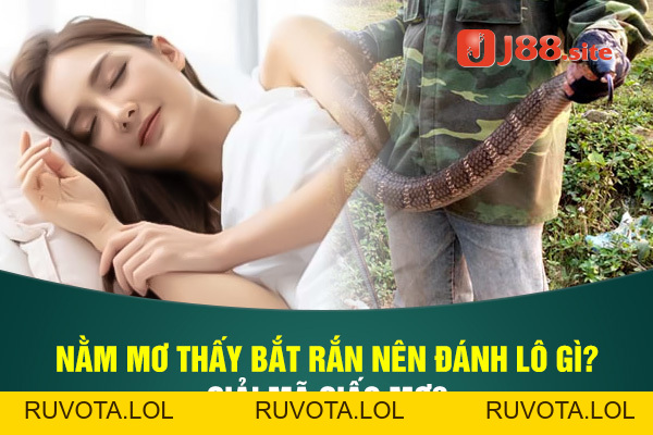 Nằm mơ thấy bắt rắn nên đánh lô gì? - RUVOTA.LOL