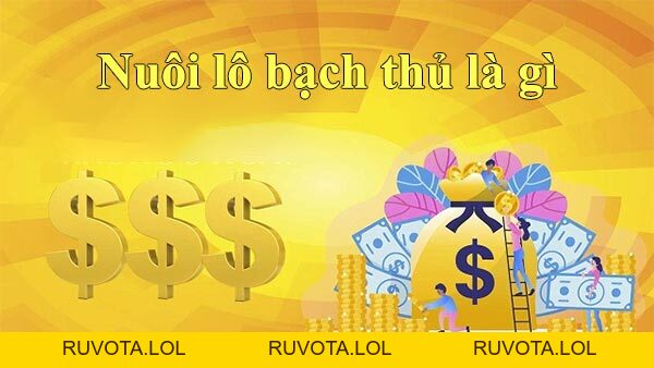 Kinh nghiệm nuôi lô bạch thủ chuẩn xác ăn chắc tiền lãi - RUVOTA.LOL Kinh nghiệm nuôi lô bạch thủ chuẩn xác ăn chắc tiền lãi - RUVOTA.LOL