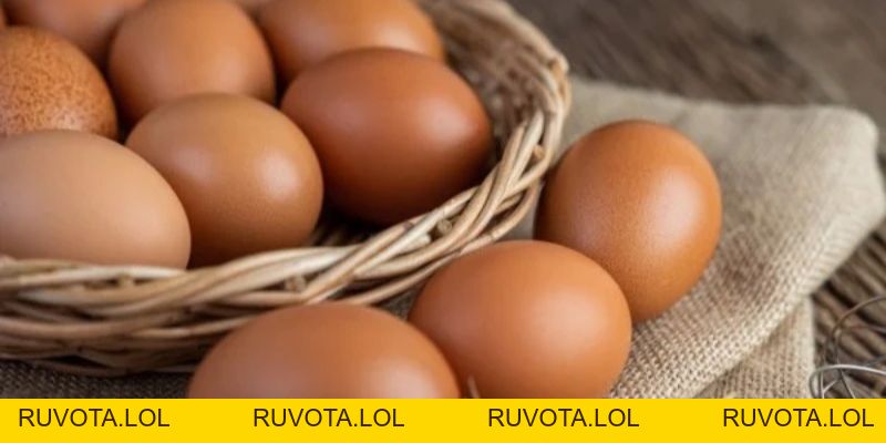 Cách xin số thần tài nhận lấy sự may mắn trong số đề - RUVOTA.LOL Cách xin số thần tài nhận lấy sự may mắn trong số đề - RUVOTA.LOL
