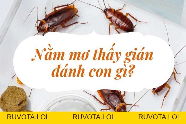 Luận giải giấc mơ thấy gián là điềm báo tốt hay xấu - RUVOTA.LOL Luận giải giấc mơ thấy gián là điềm báo tốt hay xấu - RUVOTA.LOL
