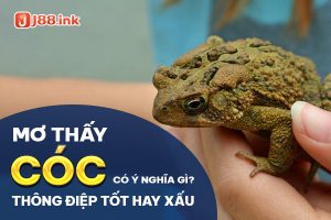 Giải mã giấc mơ - RUVOTA.LOL