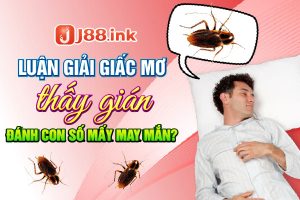 Giải mã giấc mơ - RUVOTA.LOL