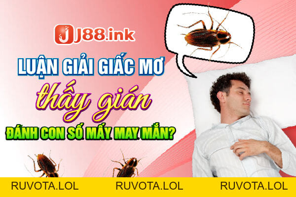 Luận giải giấc mơ thấy gián là điềm báo tốt hay xấu - RUVOTA.LOL Luận giải giấc mơ thấy gián là điềm báo tốt hay xấu - RUVOTA.LOL