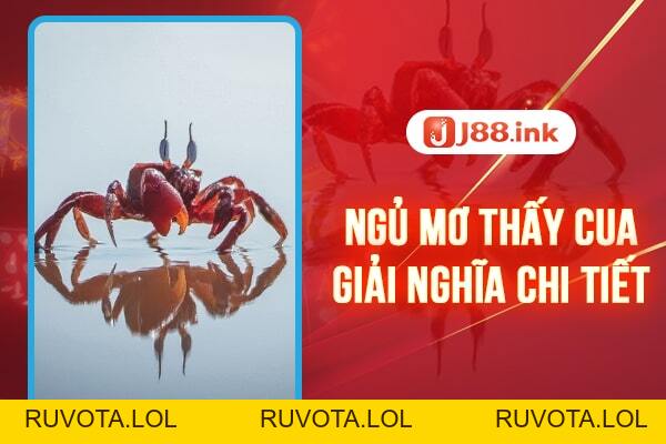 Ngủ mơ thấy cua - Giải mã ý nghĩa chi tiết nhất - RUVOTA.LOL Ngủ mơ thấy cua - Giải mã ý nghĩa chi tiết nhất - RUVOTA.LOL