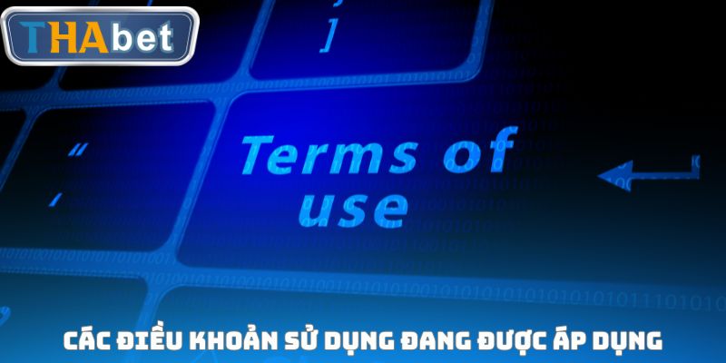 Điều Khoản Sử Dụng THABET - Quy Định Chung Cho Người Chơi - RUVOTA.LOL