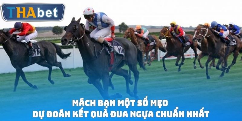 Đua Ngựa - Tiết Lộ Cách Chơi Cá Cược Siêu Hot Tại THABET - RUVOTA.LOL