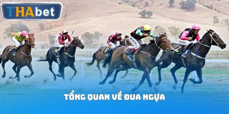 Đua Ngựa - Tiết Lộ Cách Chơi Cá Cược Siêu Hot Tại THABET - RUVOTA.LOL
